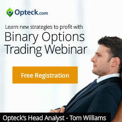 binary options trading webinar